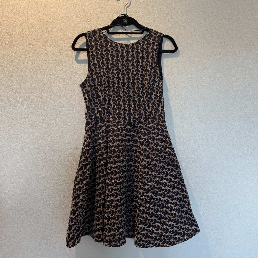 Zara Navy and Beige Sleeveless Fit-and-Flare Dress